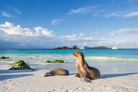 isla galapagos